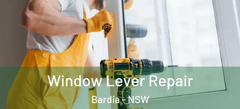 Window Lever Repair Bardia - NSW