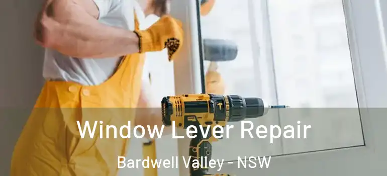 Window Lever Repair Bardwell Valley - NSW