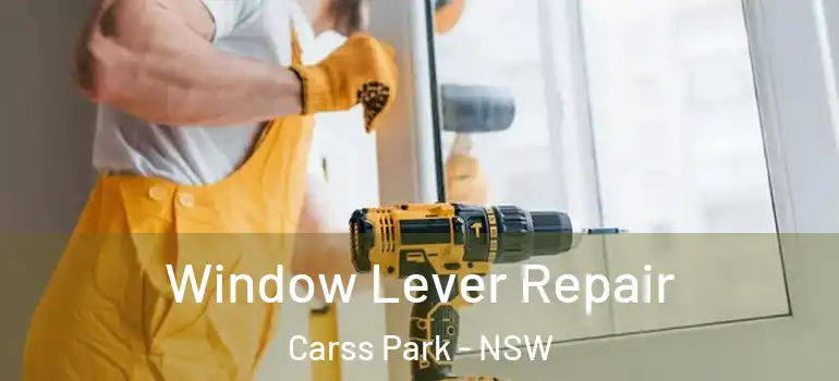 Window Lever Repair Carss Park - NSW
