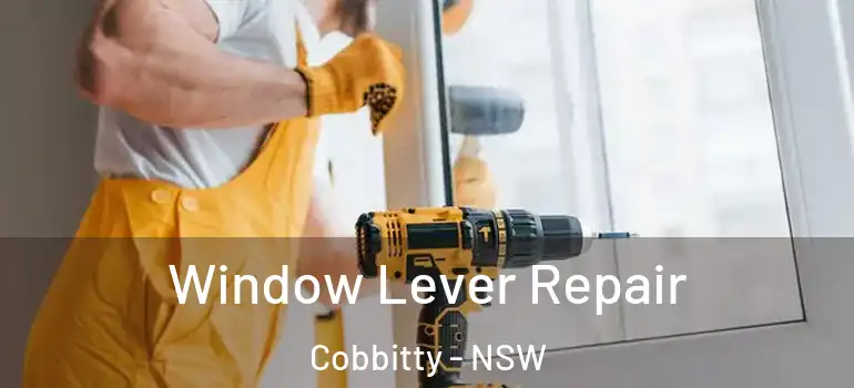  Window Lever Repair Cobbitty - NSW