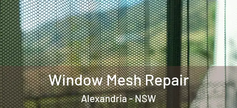 Window Mesh Repair Alexandria - NSW