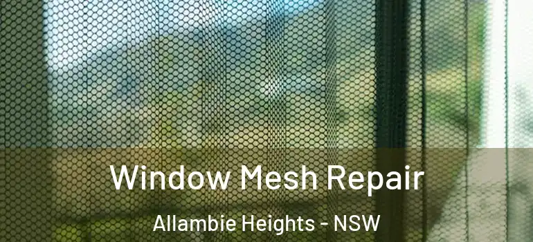  Window Mesh Repair Allambie Heights - NSW