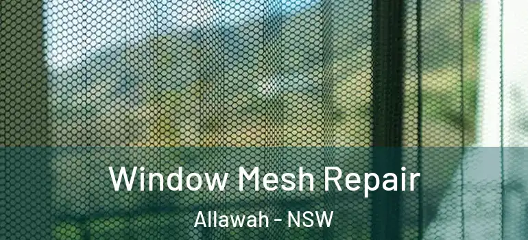 Window Mesh Repair Allawah - NSW