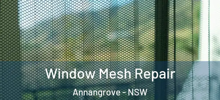 Window Mesh Repair Annangrove - NSW