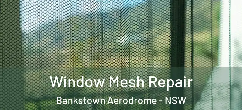 Window Mesh Repair Bankstown Aerodrome - NSW