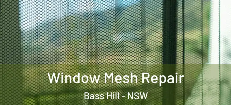 Window Mesh Repair Bass Hill - NSW