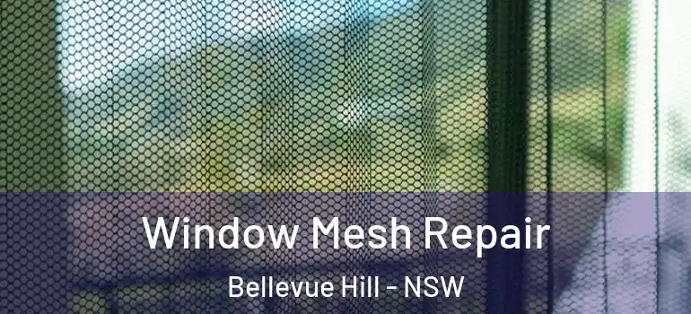  Window Mesh Repair Bellevue Hill - NSW