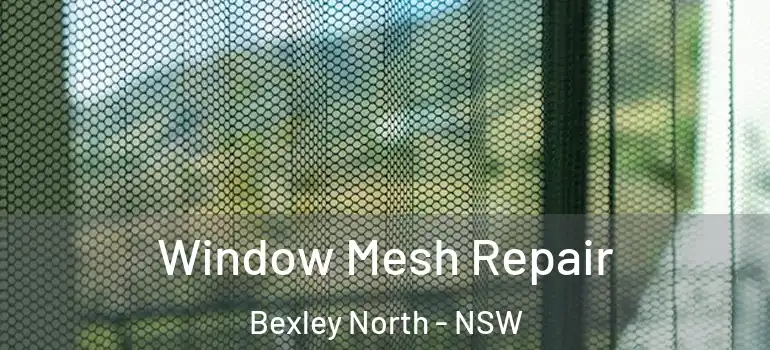 Window Mesh Repair Bexley North - NSW