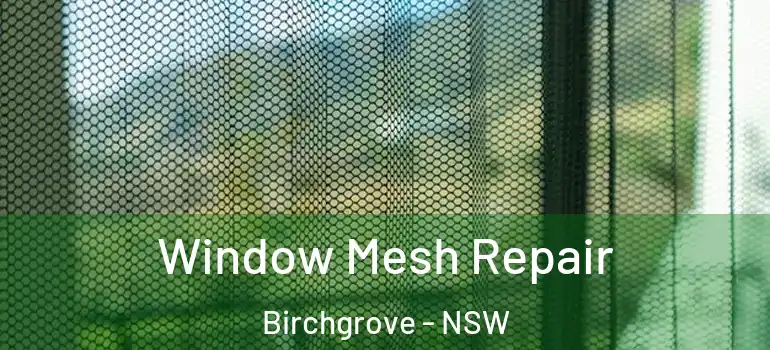 Window Mesh Repair Birchgrove - NSW
