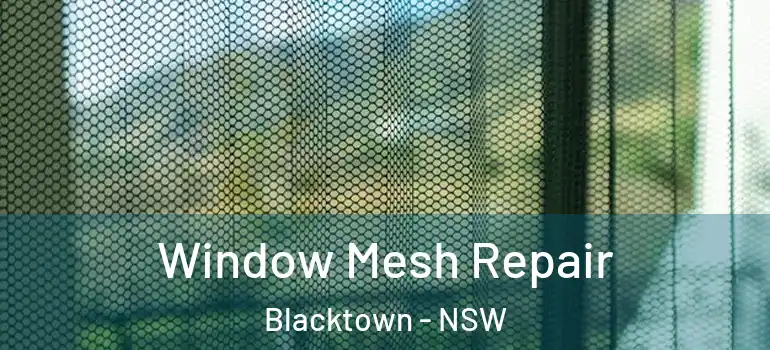 Window Mesh Repair Blacktown - NSW