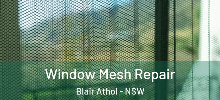 Window Mesh Repair Blair Athol - NSW