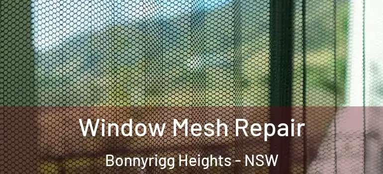 Window Mesh Repair Bonnyrigg Heights - NSW