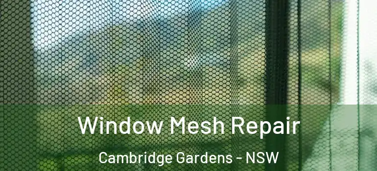  Window Mesh Repair Cambridge Gardens - NSW