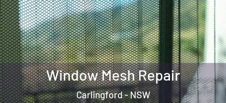 Window Mesh Repair Carlingford - NSW