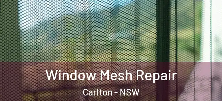 Window Mesh Repair Carlton - NSW