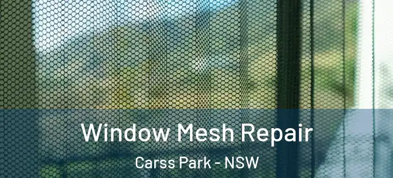 Window Mesh Repair Carss Park - NSW