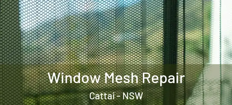 Window Mesh Repair Cattai - NSW