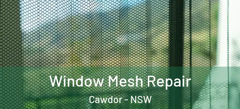 Window Mesh Repair Cawdor - NSW