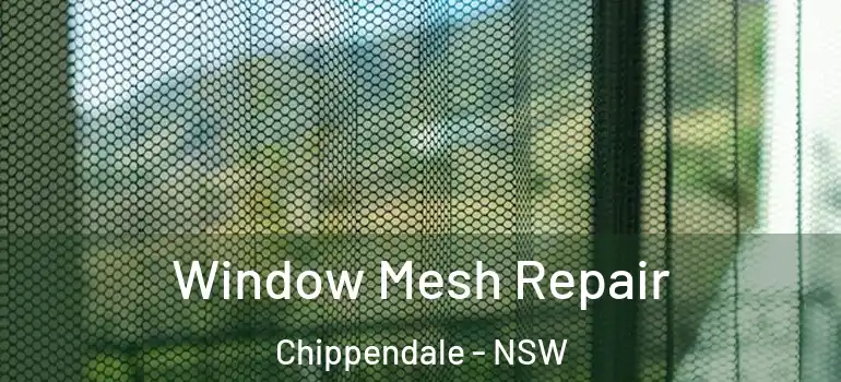 Window Mesh Repair Chippendale - NSW