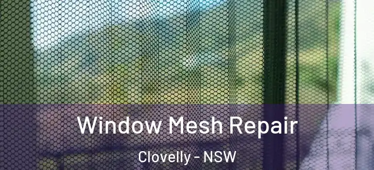 Window Mesh Repair Clovelly - NSW