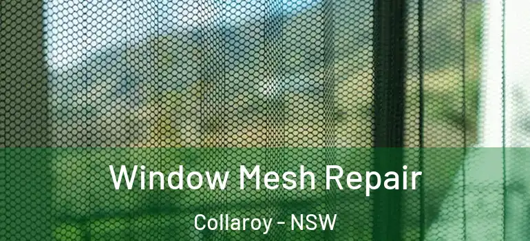 Window Mesh Repair Collaroy - NSW