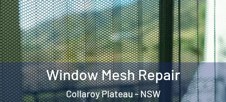 Window Mesh Repair Collaroy Plateau - NSW