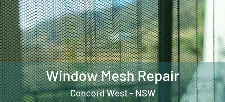  Window Mesh Repair Concord West - NSW