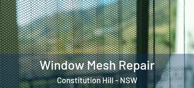 Window Mesh Repair Constitution Hill - NSW