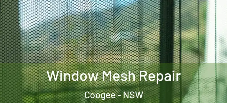 Window Mesh Repair Coogee - NSW