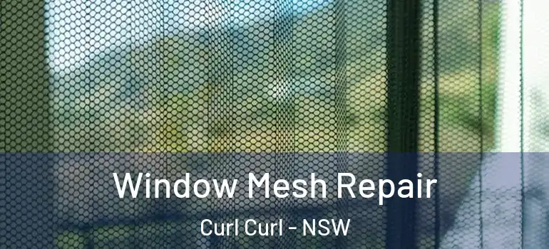  Window Mesh Repair Curl Curl - NSW