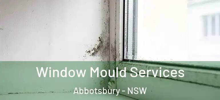  Window Mould Services Abbotsbury - NSW