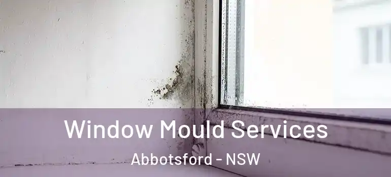 Window Mould Services Abbotsford - NSW