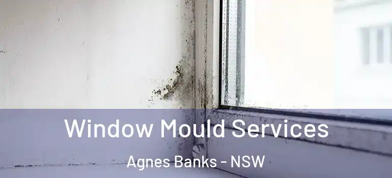 Window Mould Services Agnes Banks - NSW