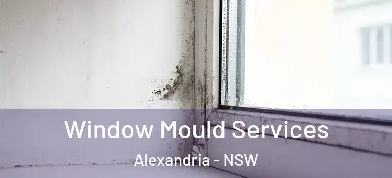 Window Mould Services Alexandria - NSW