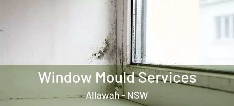 Window Mould Services Allawah - NSW
