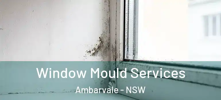 Window Mould Services Ambarvale - NSW