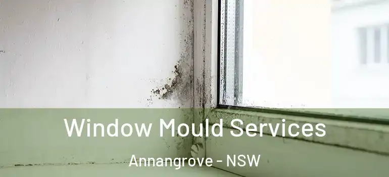 Window Mould Services Annangrove - NSW