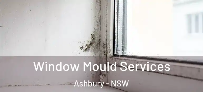 Window Mould Services Ashbury - NSW