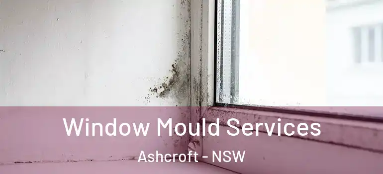 Window Mould Services Ashcroft - NSW