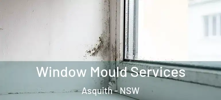  Window Mould Services Asquith - NSW