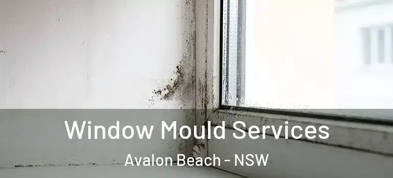 Window Mould Services Avalon Beach - NSW