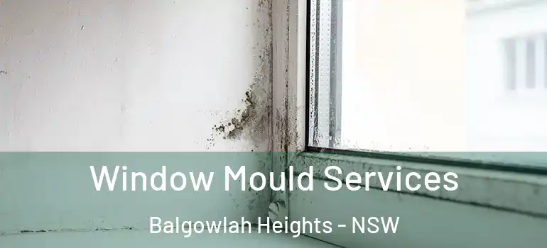 Window Mould Services Balgowlah Heights - NSW