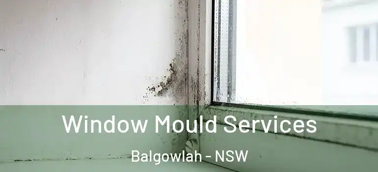  Window Mould Services Balgowlah - NSW