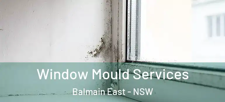 Window Mould Services Balmain East - NSW