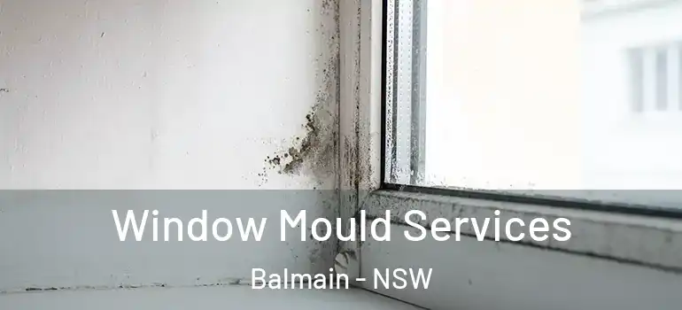 Window Mould Services Balmain - NSW