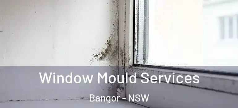  Window Mould Services Bangor - NSW