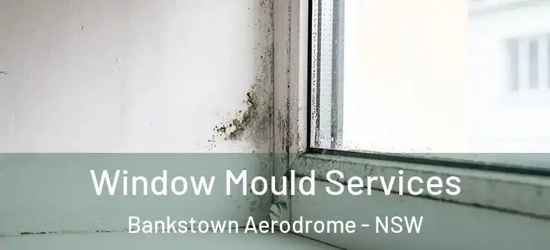 Window Mould Services Bankstown Aerodrome - NSW