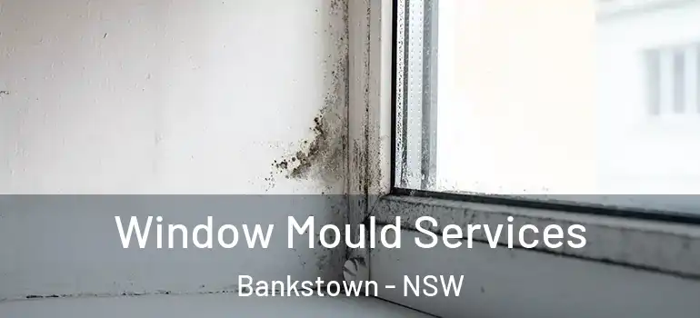 Window Mould Services Bankstown - NSW