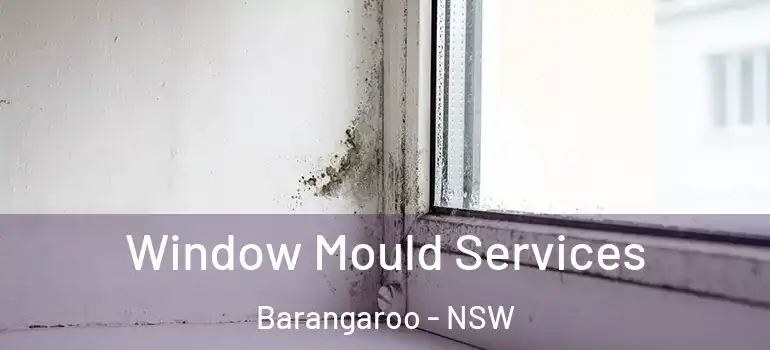  Window Mould Services Barangaroo - NSW