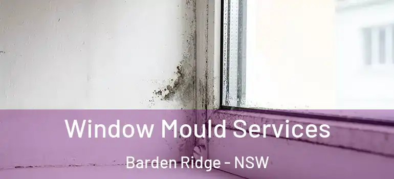 Window Mould Services Barden Ridge - NSW